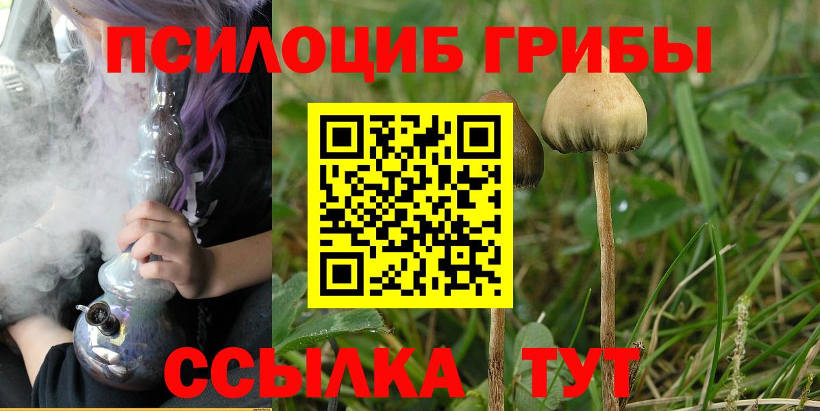 Псилоцибиновые грибы Psilocybine cubensis Арсеньев
